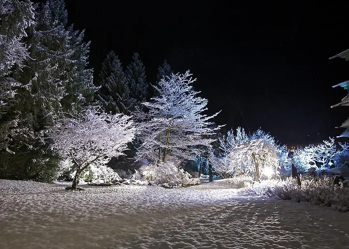 度假村 Sendlhofer's 巴特霍夫加施泰因